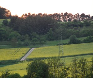 dsc