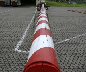 maibaum 2009