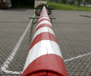 maibaum 2009