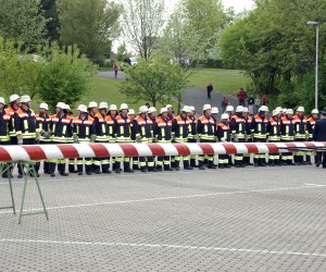 maibaum 2009