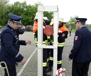 maibaum 2009