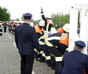 maibaum 2009