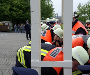 maibaum 2009