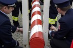 maibaum 2009