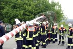 maibaum 2009