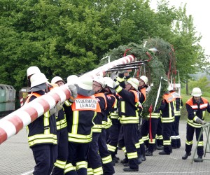 maibaum 2009