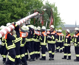 maibaum 2009