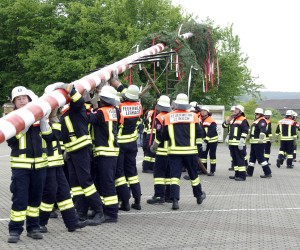 maibaum 2009