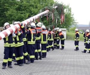 maibaum 2009