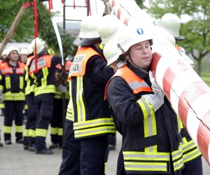 maibaum 2009