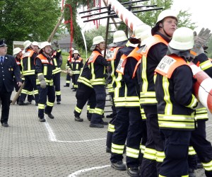 maibaum 2009