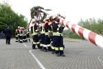 maibaum 2009