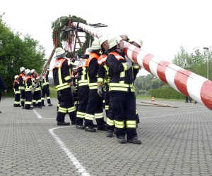 maibaum 2009