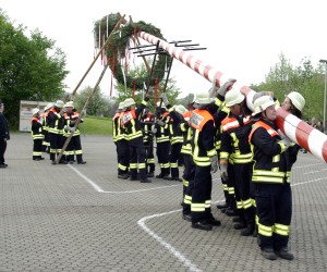 maibaum 2009