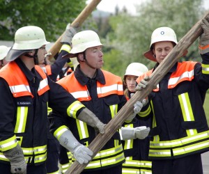 maibaum 2009