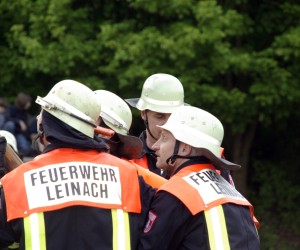 maibaum 2009