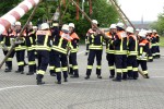 maibaum 2009