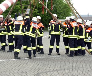 maibaum 2009