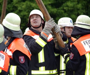 maibaum 2009