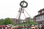 maibaum 2009