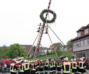 maibaum 2009