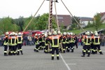 maibaum 2009