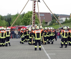 maibaum 2009