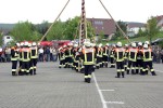 maibaum 2009