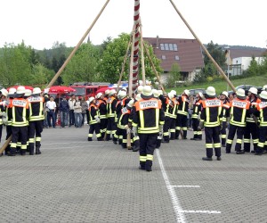 maibaum 2009