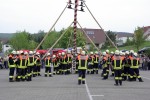 maibaum 2009