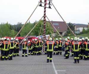 maibaum 2009