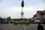 maibaum 2009