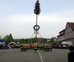 maibaum 2009