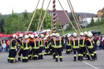 maibaum 2009