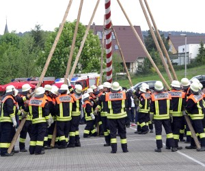 maibaum 2009