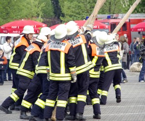 maibaum 2009