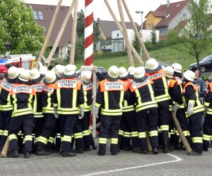 maibaum 2009