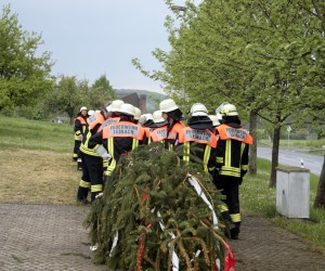 maibaum 2011 hgg