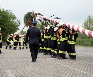 maibaum 2011 hgg