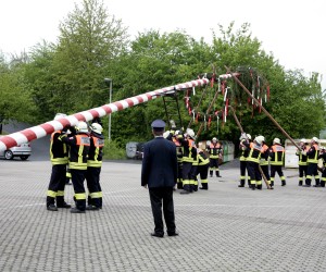 maibaum 2011 hgg