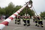 maibaum 2011 hgg