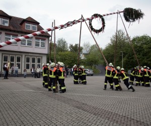 maibaum 2011 hgg