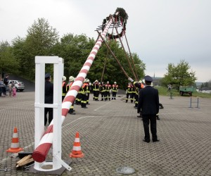 maibaum 2011 hgg