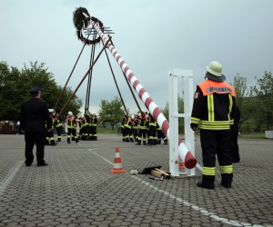 maibaum 2011 hgg