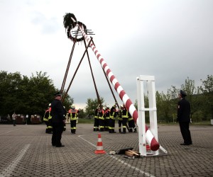 maibaum 2011 hgg