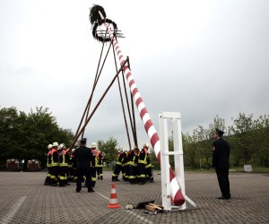 maibaum 2011 hgg