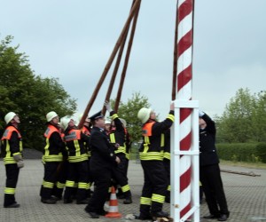 maibaum 2011 hgg