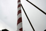 maibaum 2011 hgg
