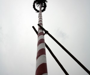 maibaum 2011 hgg