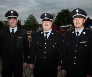 maibaum 2011 hgg